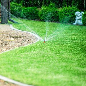 Landscape Irrigation Inspection